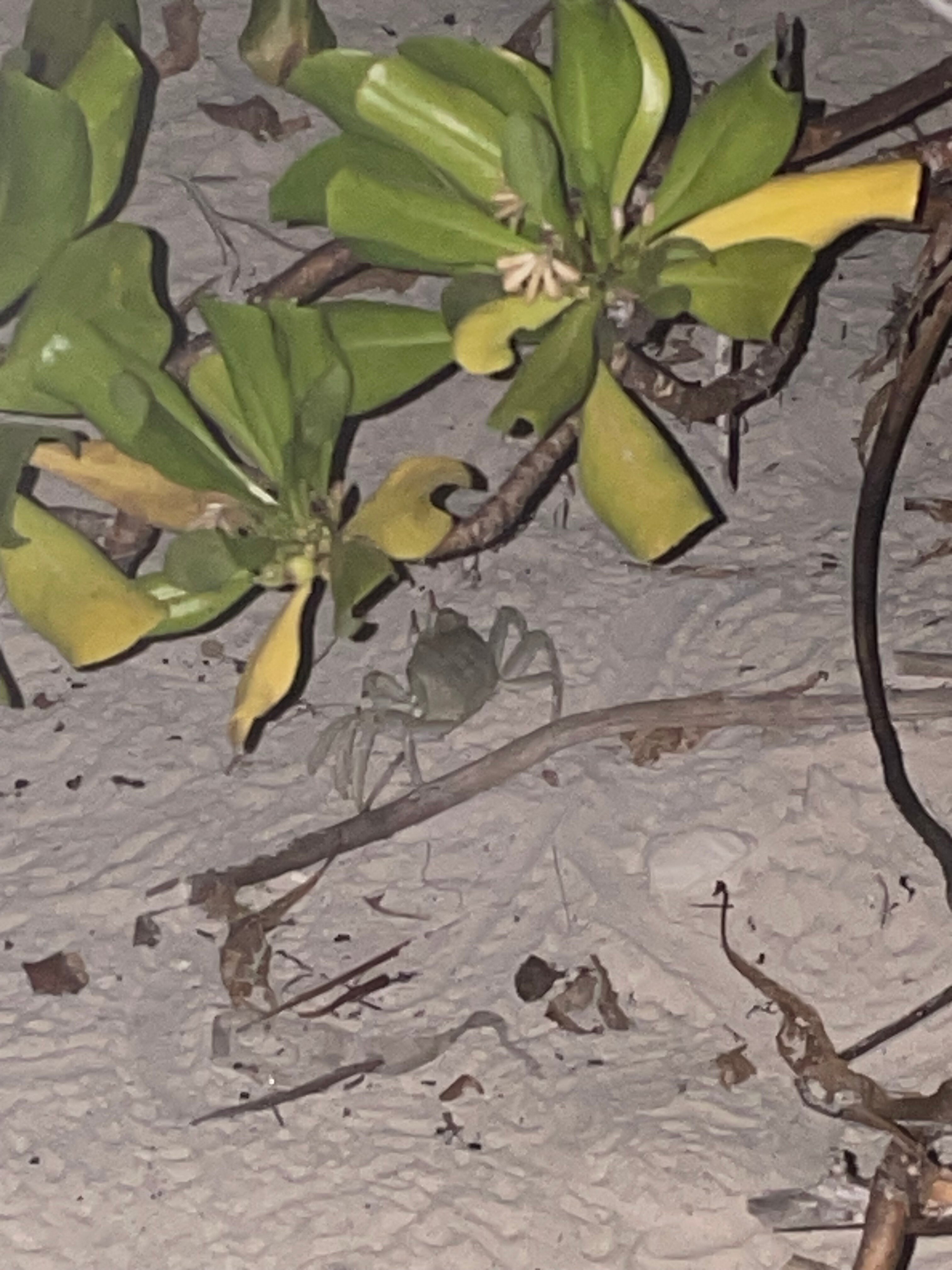 Фото Paguro Villa