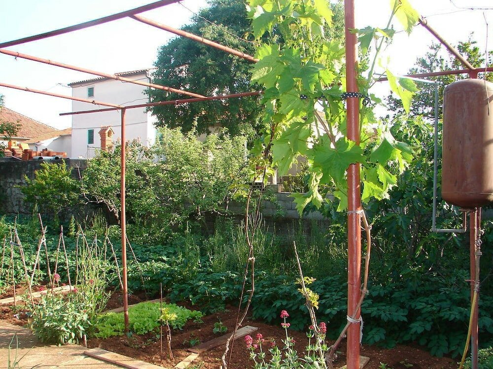 Фото Dragan - Economy Apartments - A1 Veci