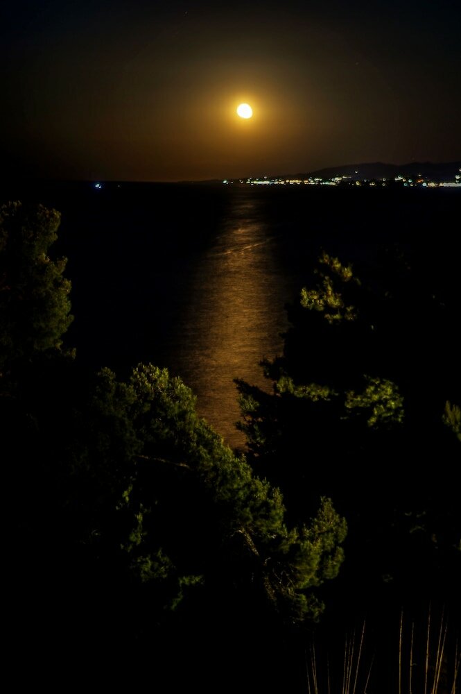 Фото Alexander The Great Beach Hotel