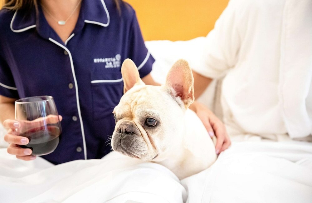 Фото Estancia La Jolla Hotel & SPA