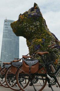 Гостиница Hotel Silken Indautxu Bilbao