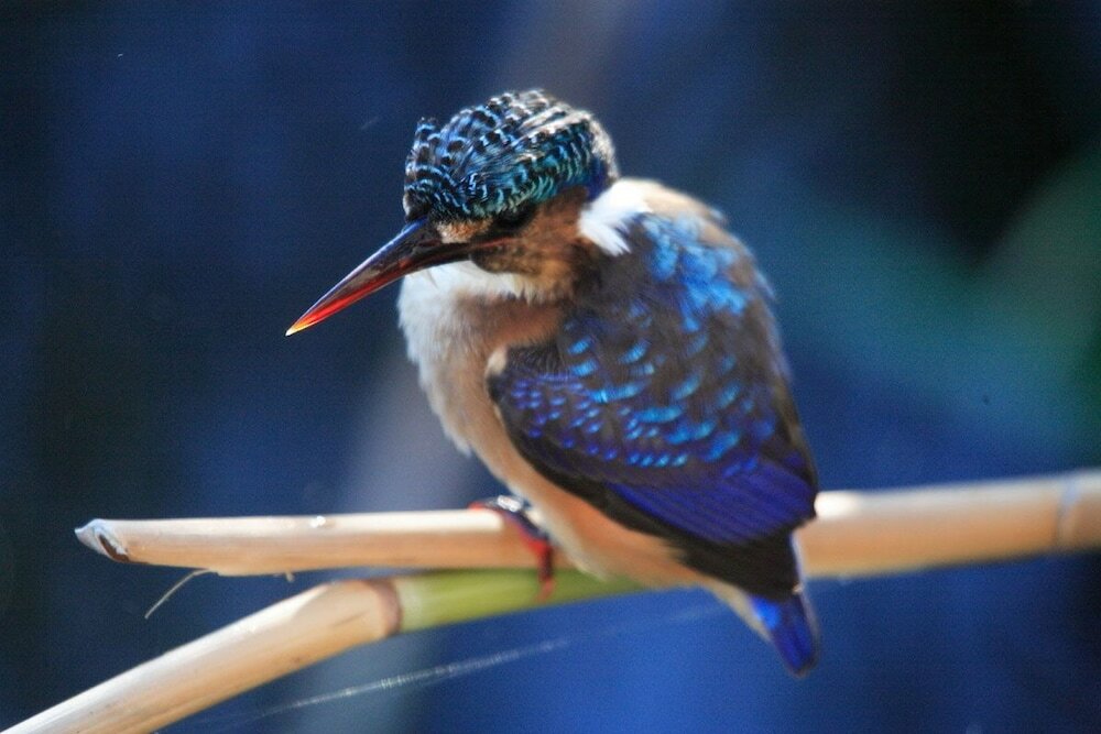 Фото Far Hills Hotel