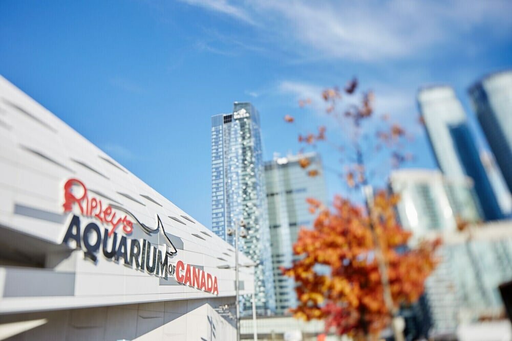 Фото The Westin Harbour Castle