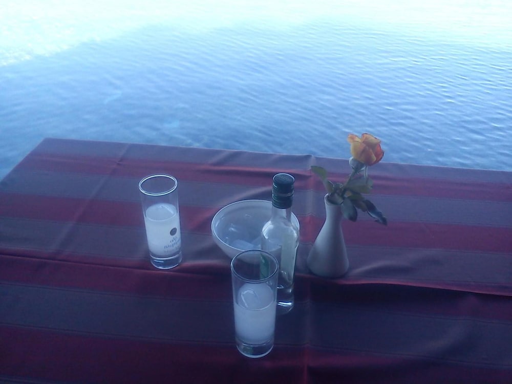 Фото Hotel Lefkadi