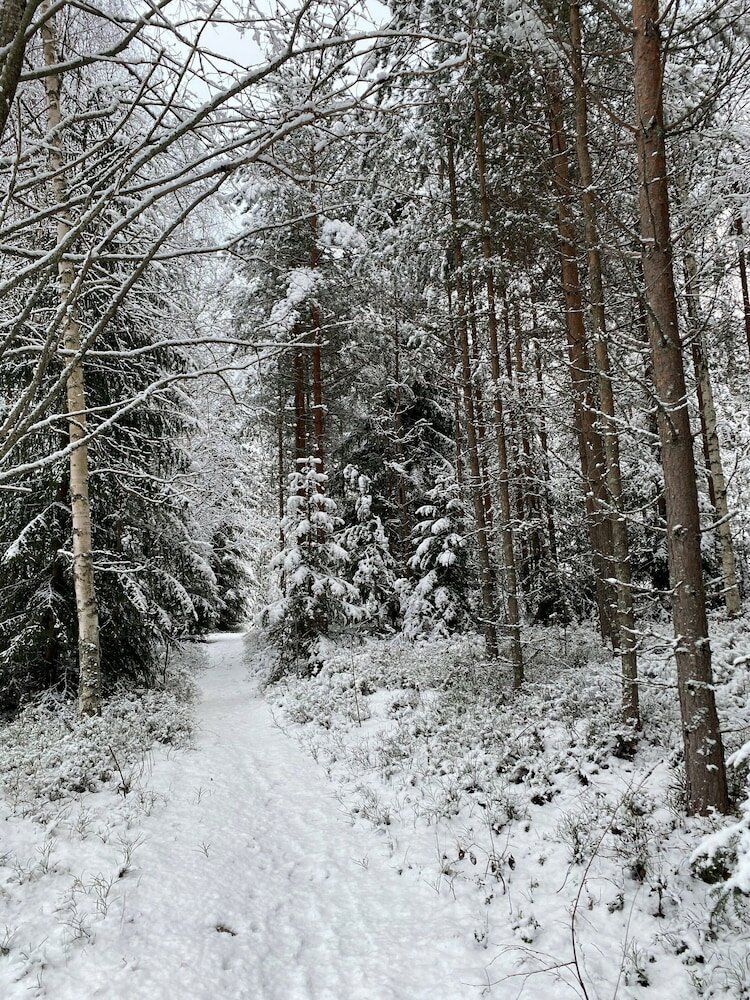 Фото Hotell Moskogen