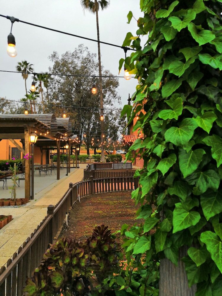 Фото Hotel Boutique Rancho Tecate