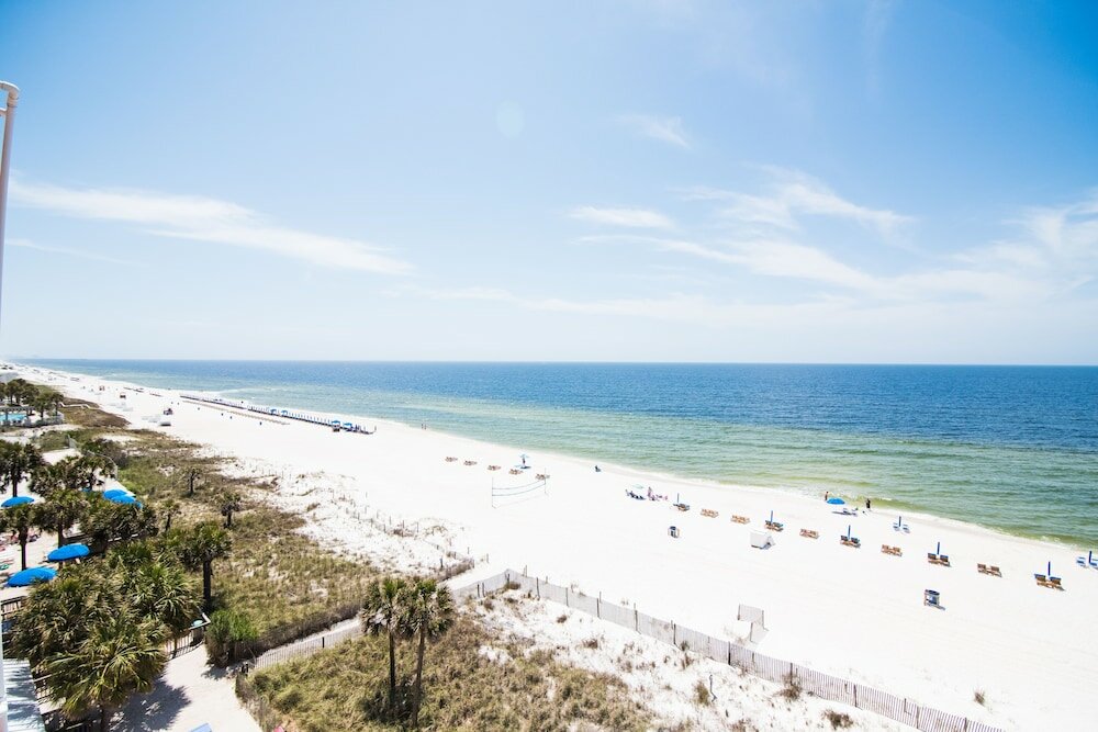 Фото Osprey on the Gulf