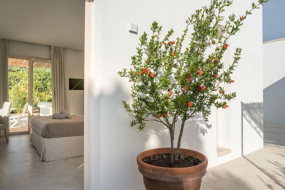 Фото Tenuta DonnAnna