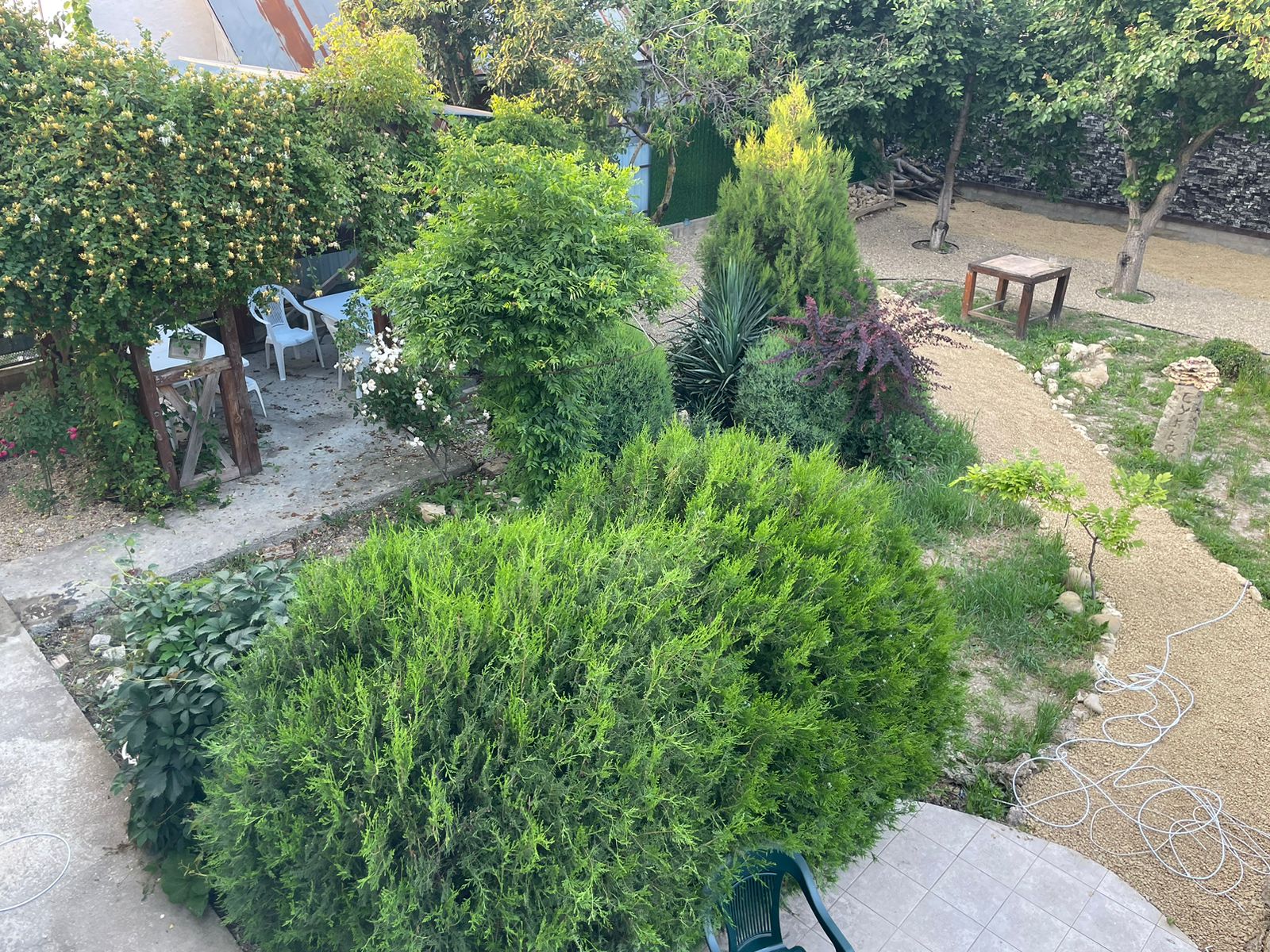 Фото Аннушка