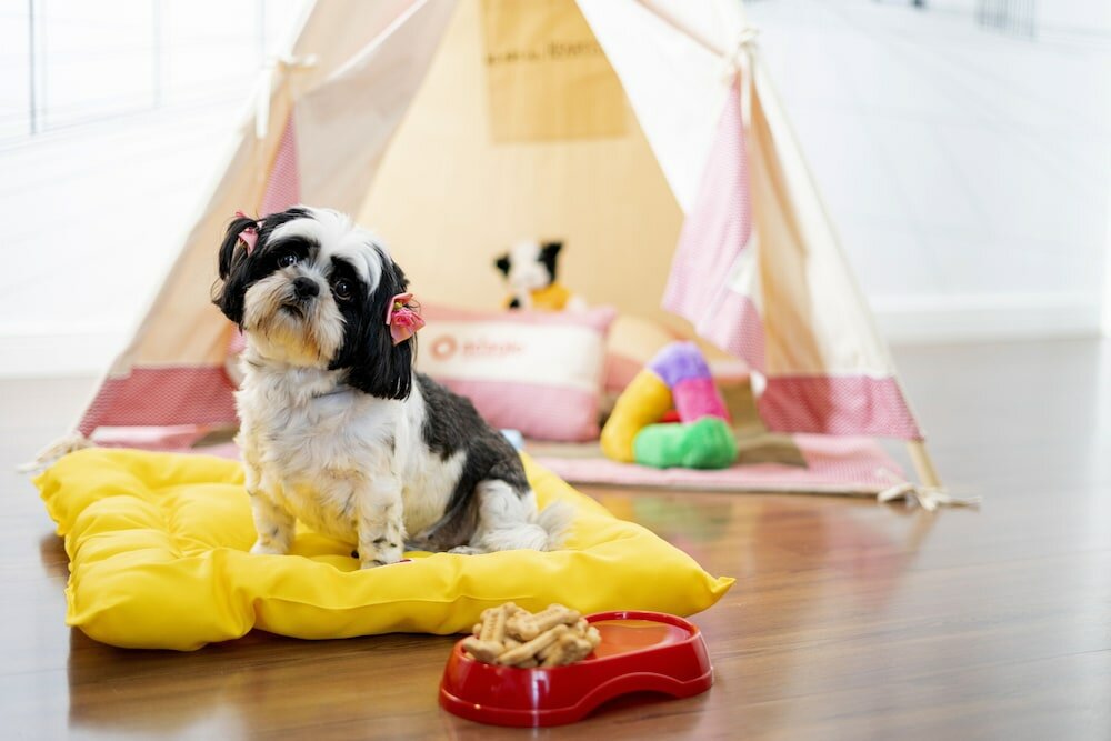 Фото Adagio São Paulo Berrini