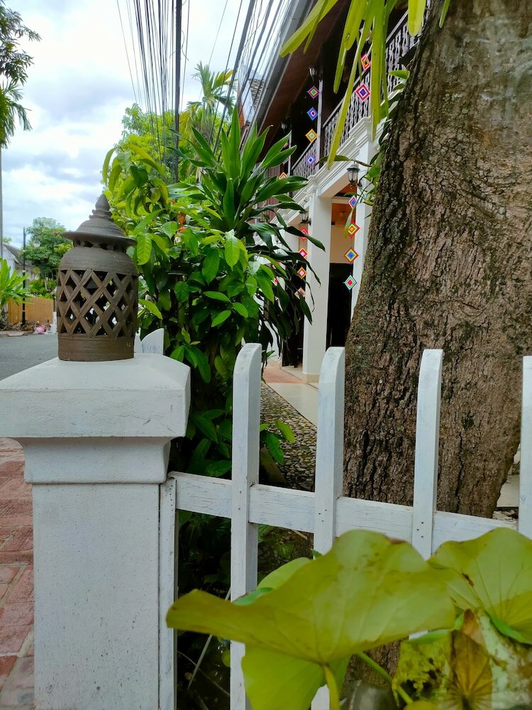 Фото Lotus Corner Vegan and Plant-Based B&b