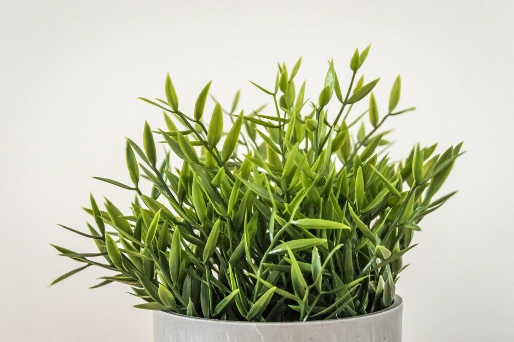 Фото Ivydene - 3 Bedroom Holiday Home - Tenby