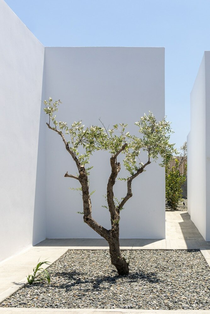 Фото White Holidays Project