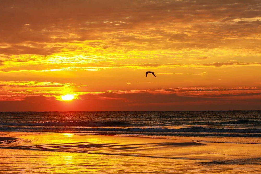 Фото Gulf Highlands Unit 247