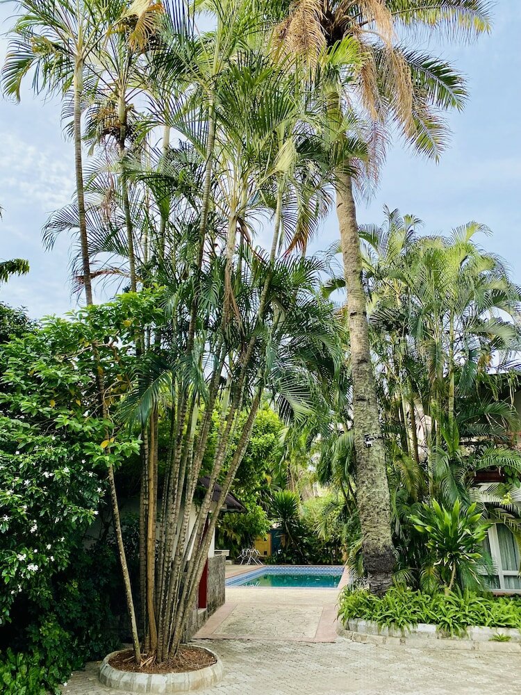 Фото La Cour - Hotels