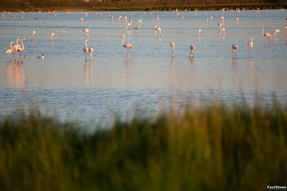 Фото Hotel Solemare