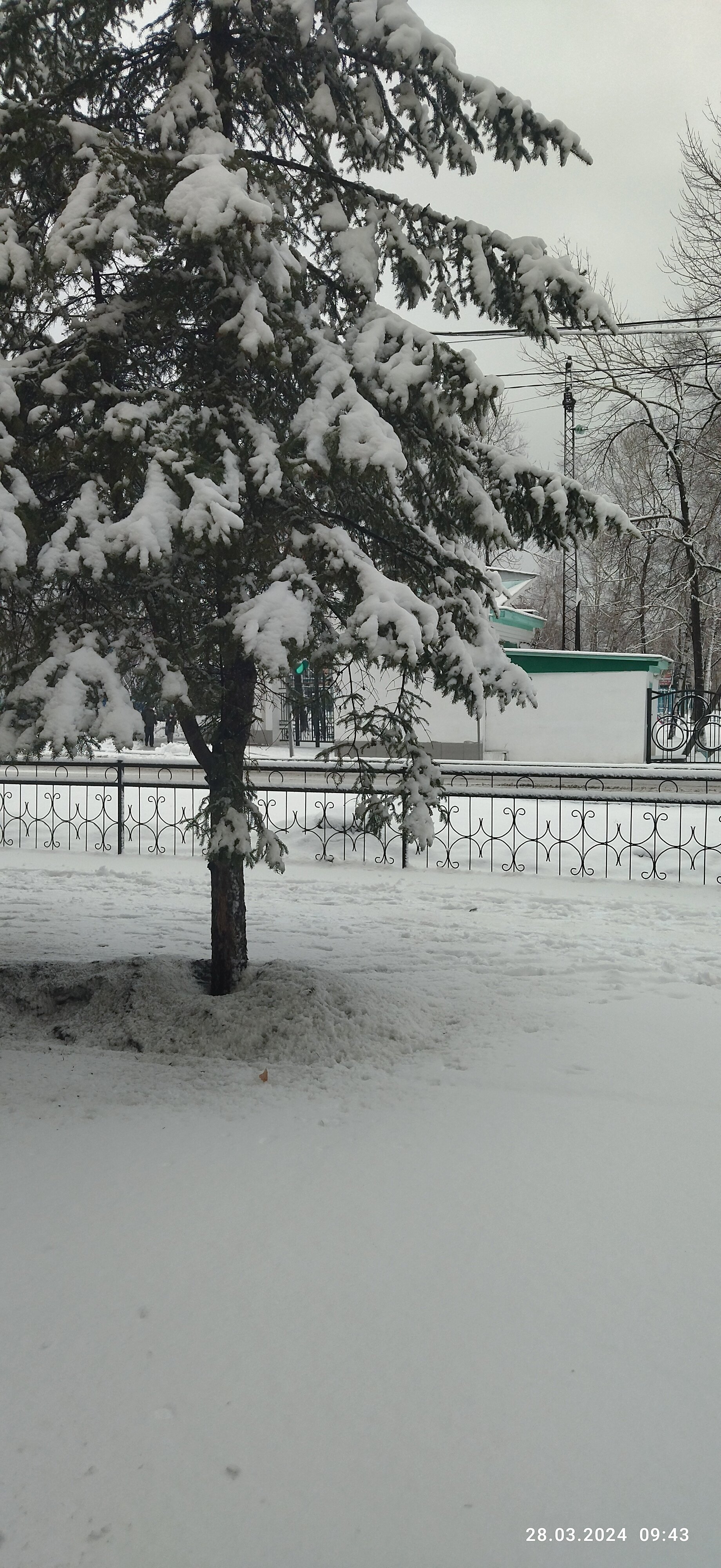 Фото Империал