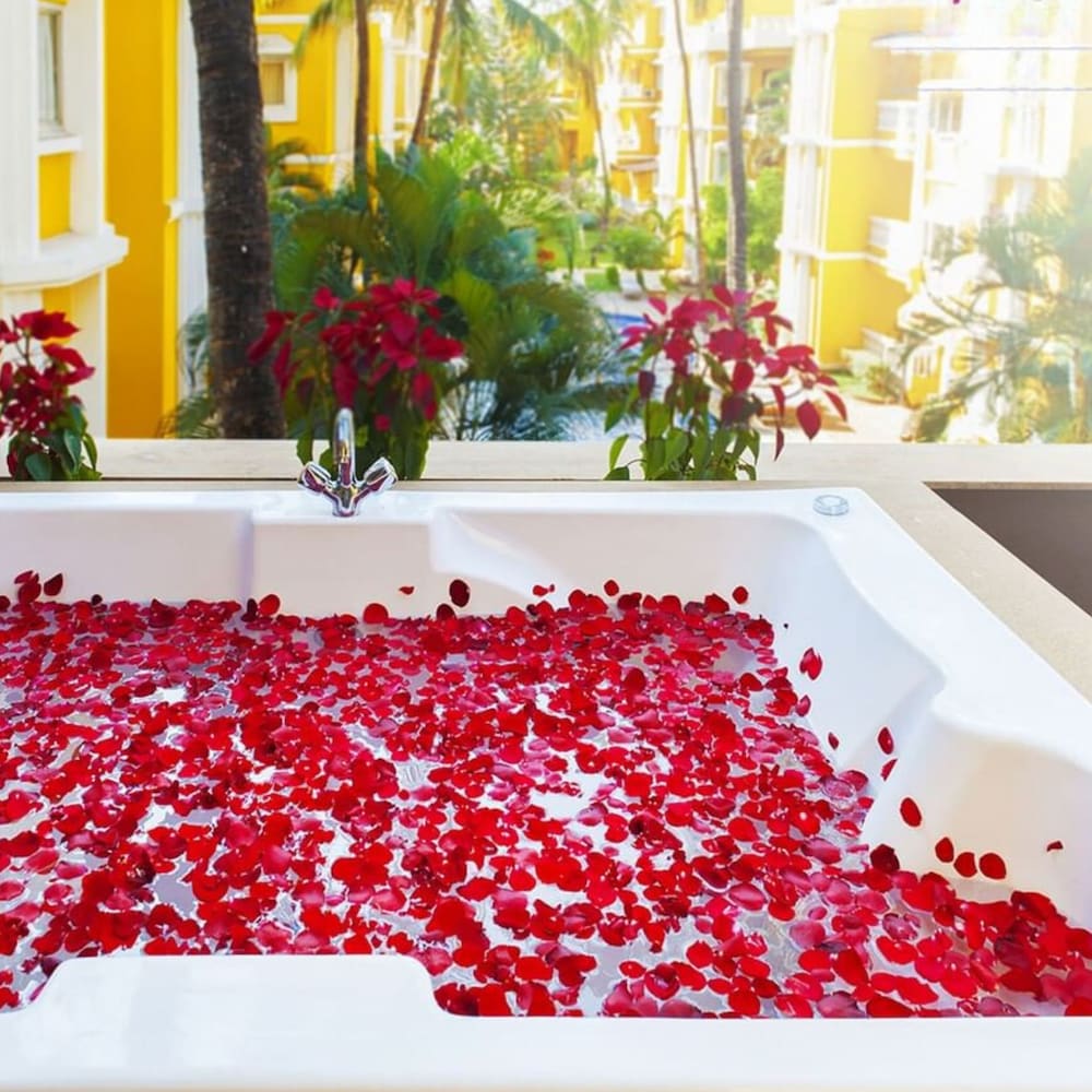 Фото Adamo The Bellus