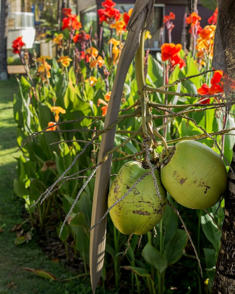 Фото Casa Di Vina Hotel