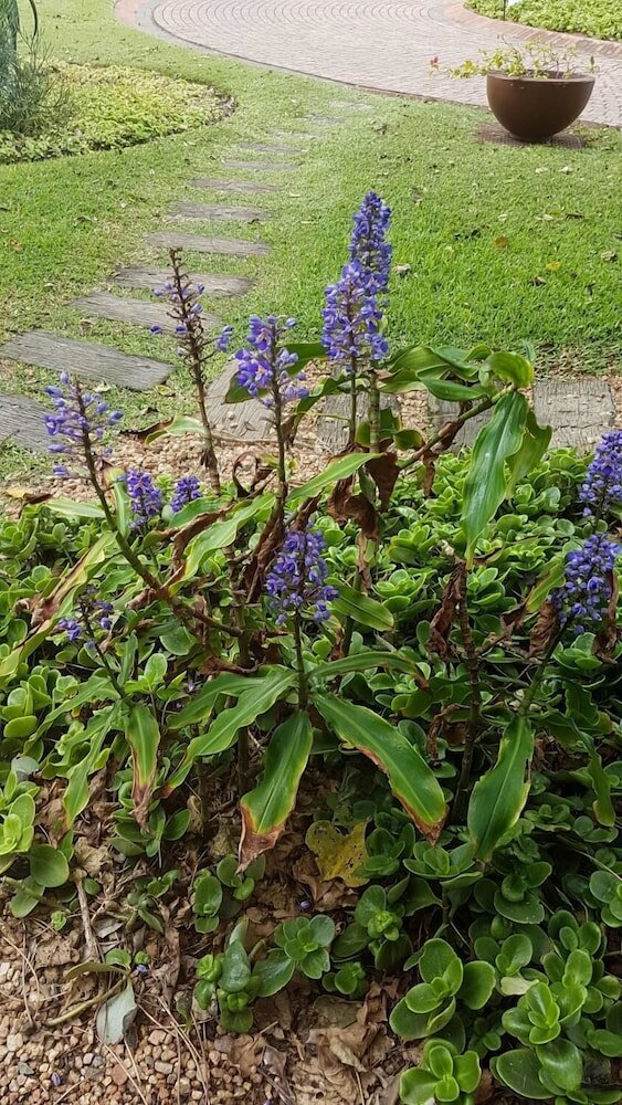 Фото Unit 1101 Oyster Rock