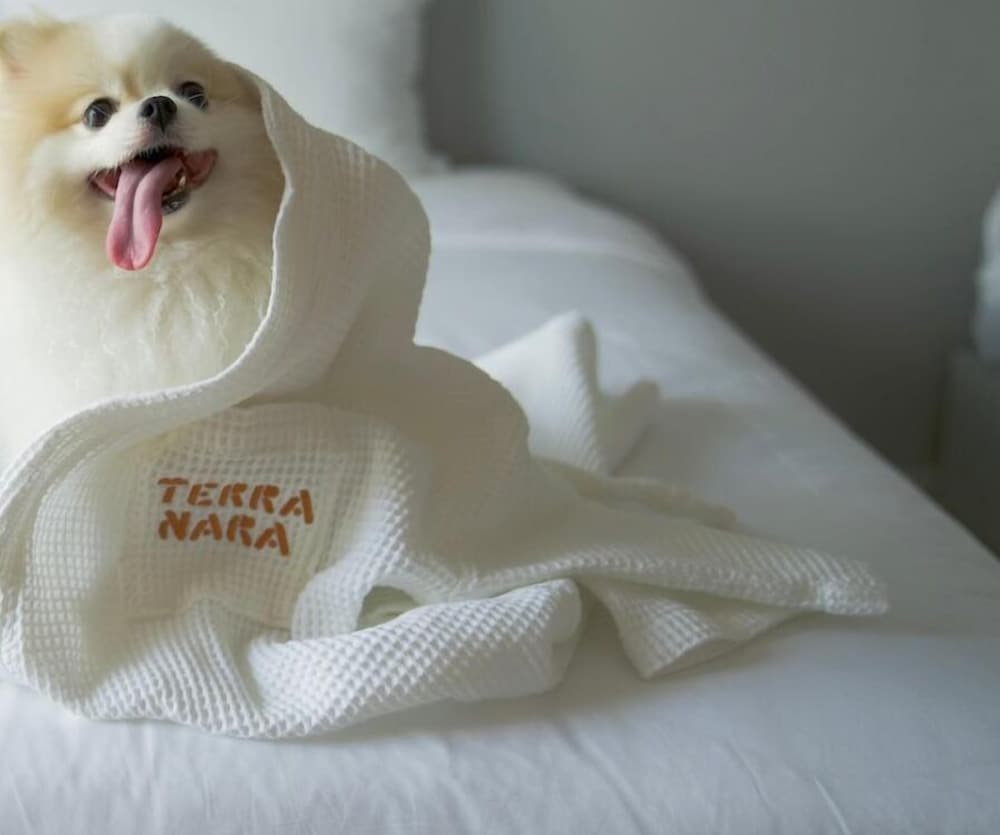 Фото Terra Nara Hotel Pattaya