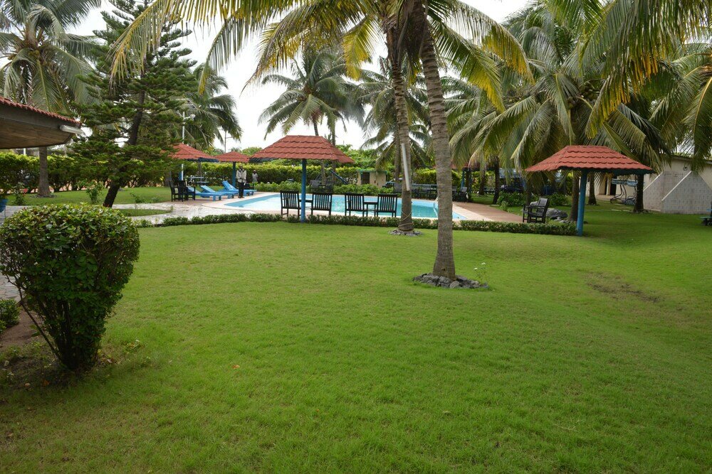 Фото Novela Star