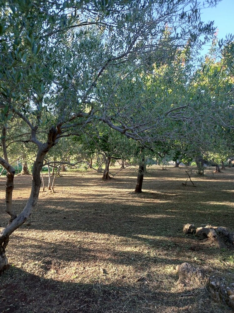 Фото Villa Sea Dream