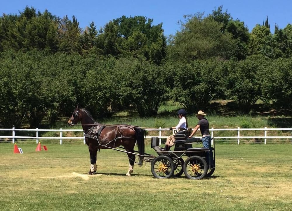 Фото Casale Sant'Elia