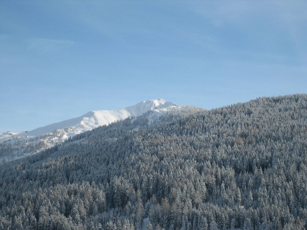 Фото Hotel Jagdhof