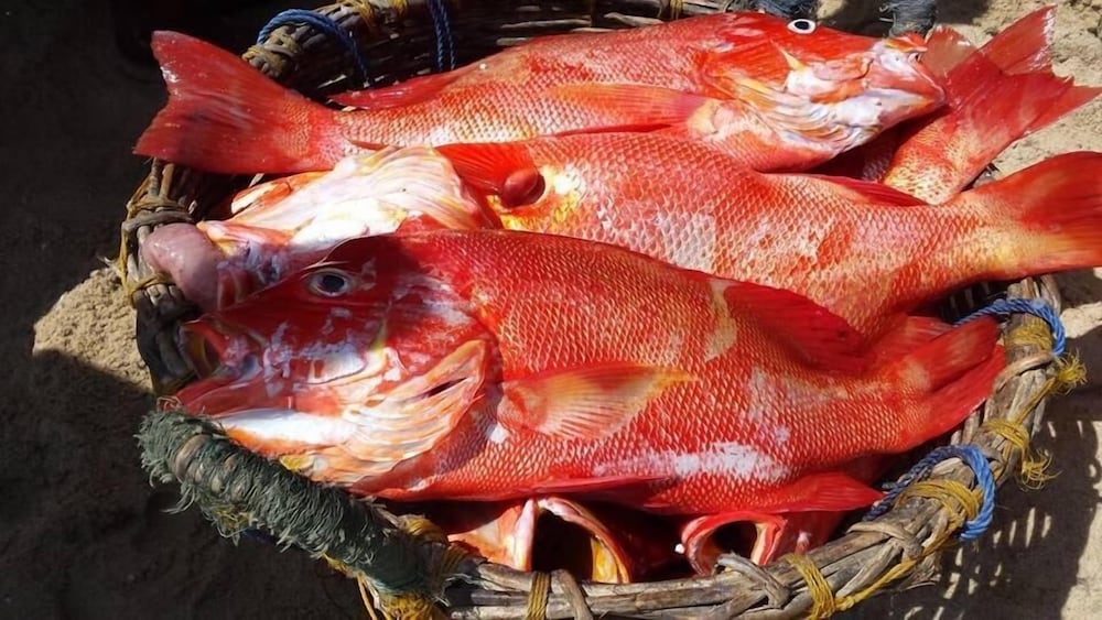 Фото Resort Maya Beach