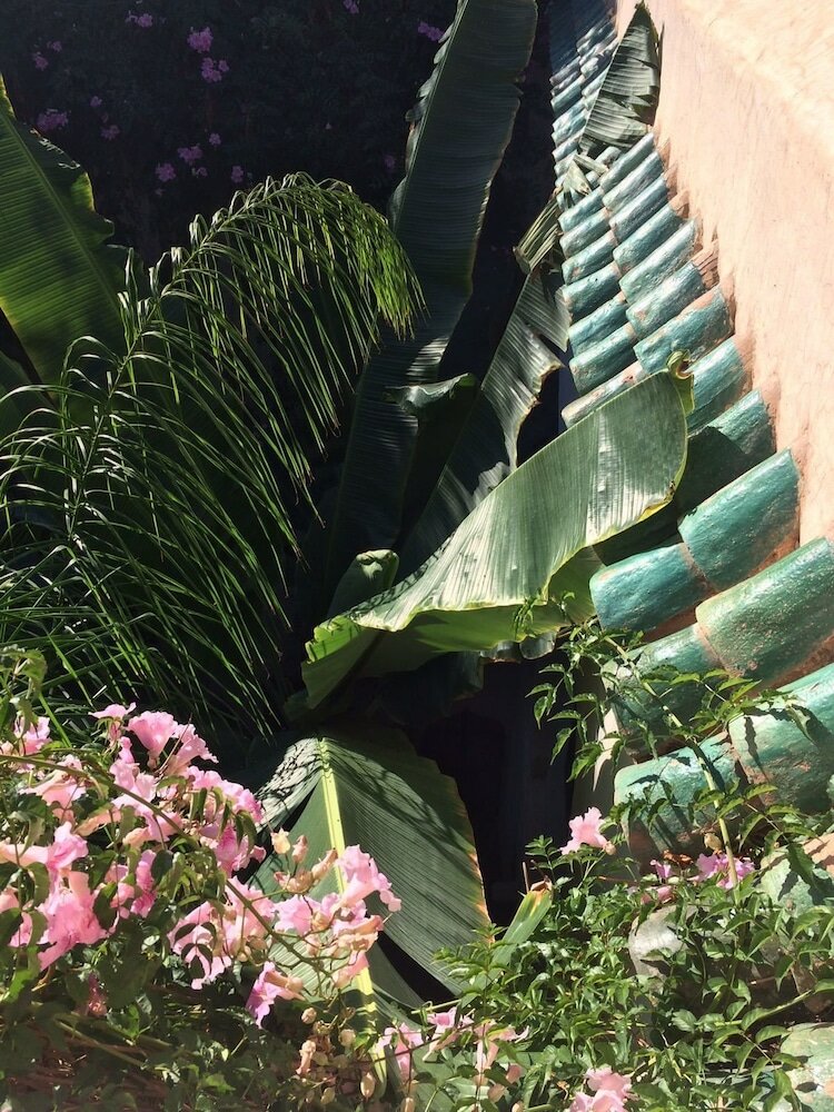 Фото Riad Tibibt