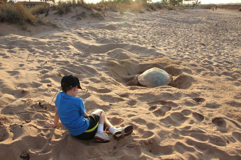 Фото Port Tourist Park