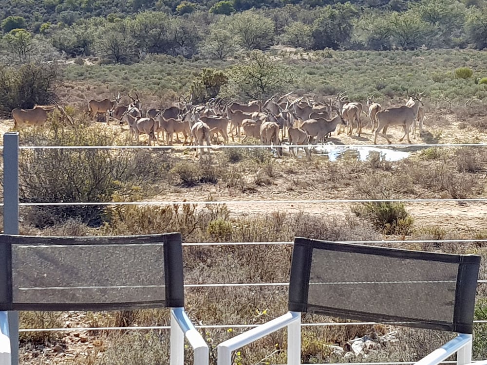 Фото Rooiberg Safaris
