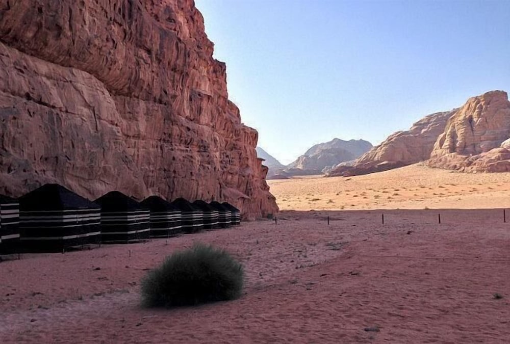 Фото Bedouin Traditions Camp