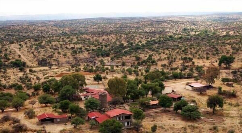 Фото Leopard Lodge