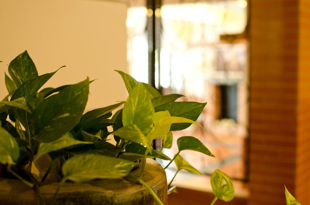 Фото MyDream Homestay