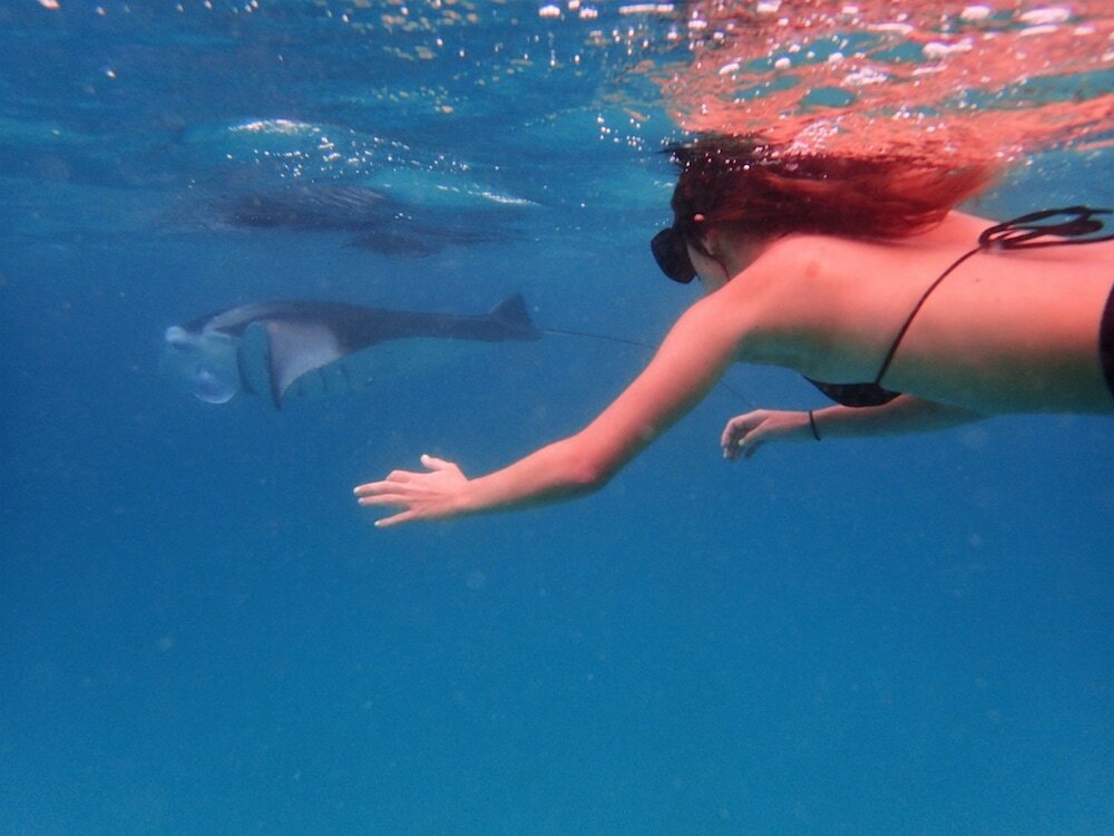 Фото SeaLaVie Inn