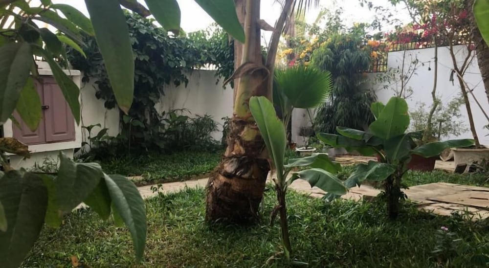 Фото La Villa Blanche