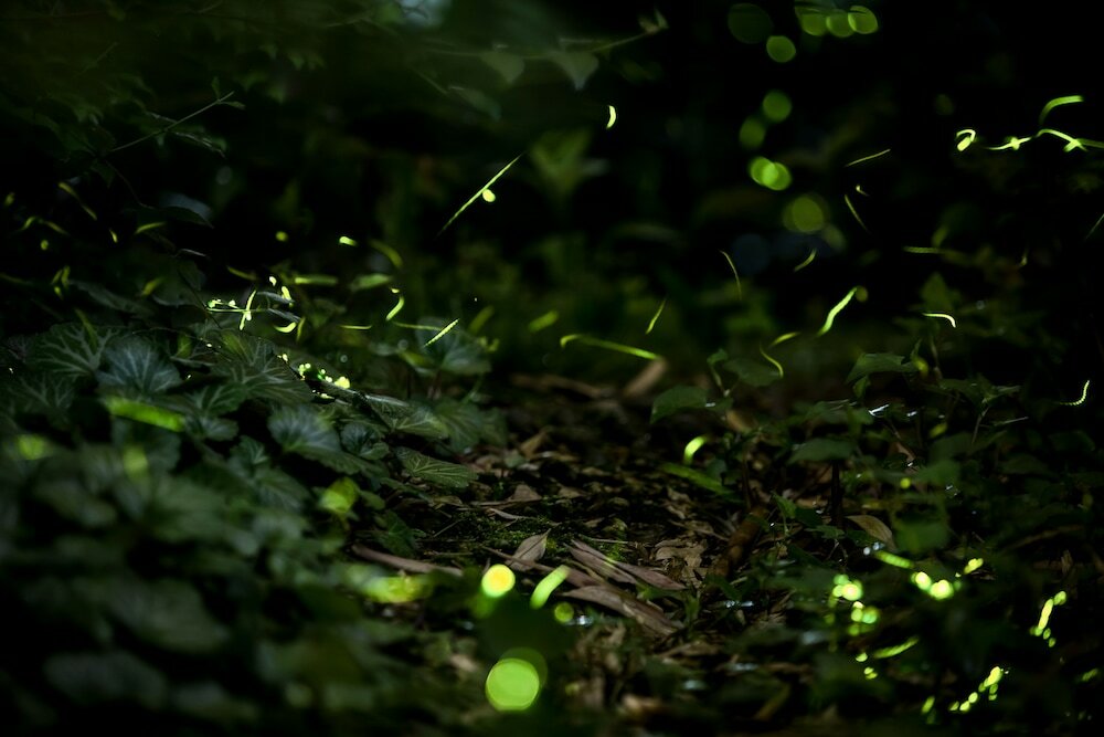 Фото Prado Hill Holiday