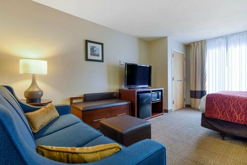 Гостиница Comfort Suites Fultondale I-65 near I-22 в Фултондейле