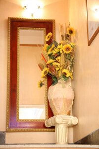 Гостиница Hotel Britannia