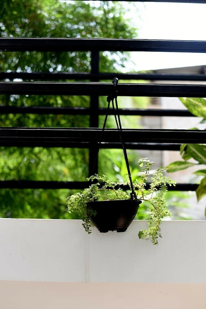 Фото Steps Backpackers Hostel