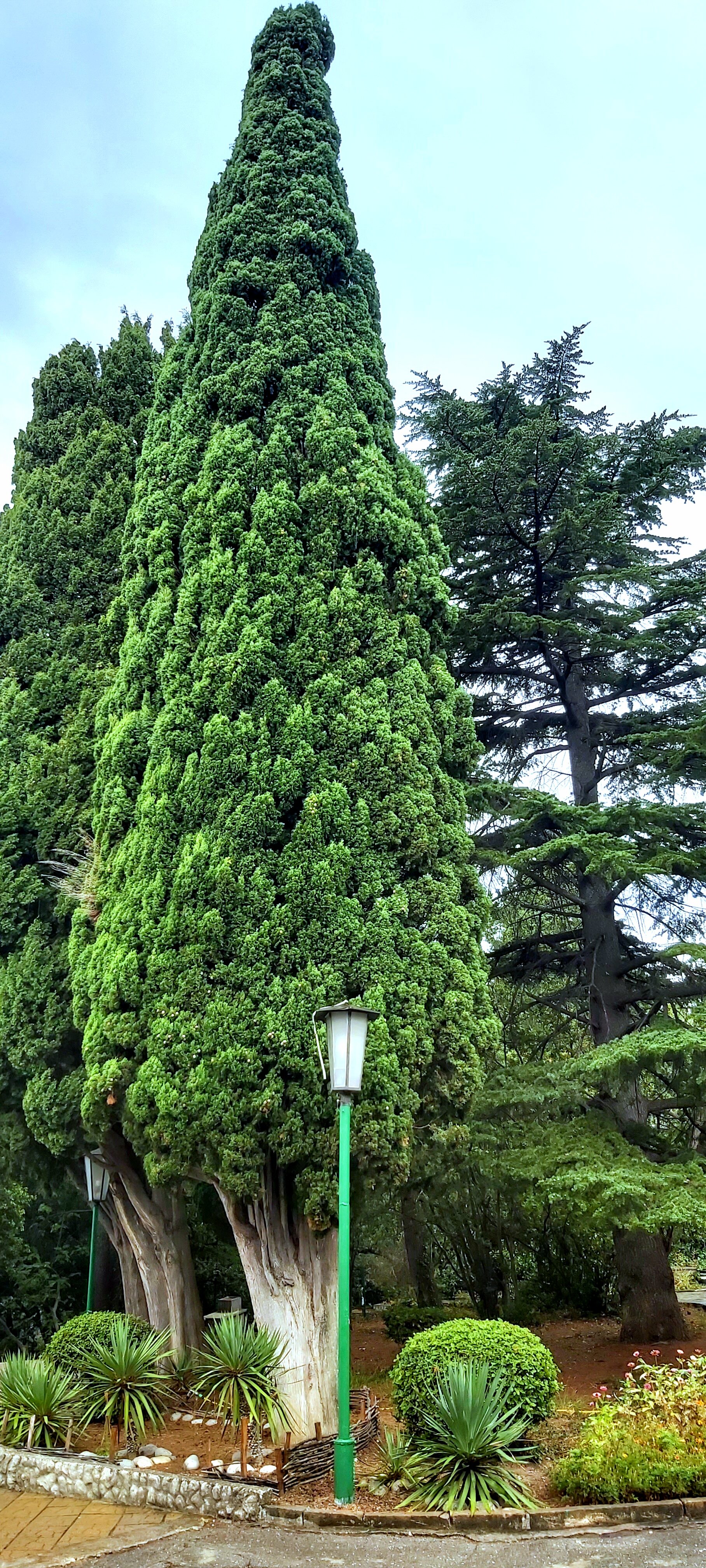 Фото Мисхорский парк