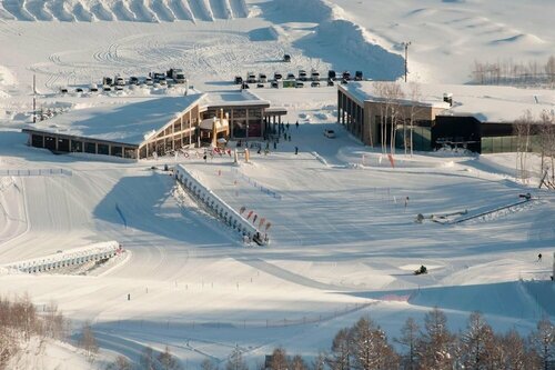 Гостиница Niseko Freedom Inn