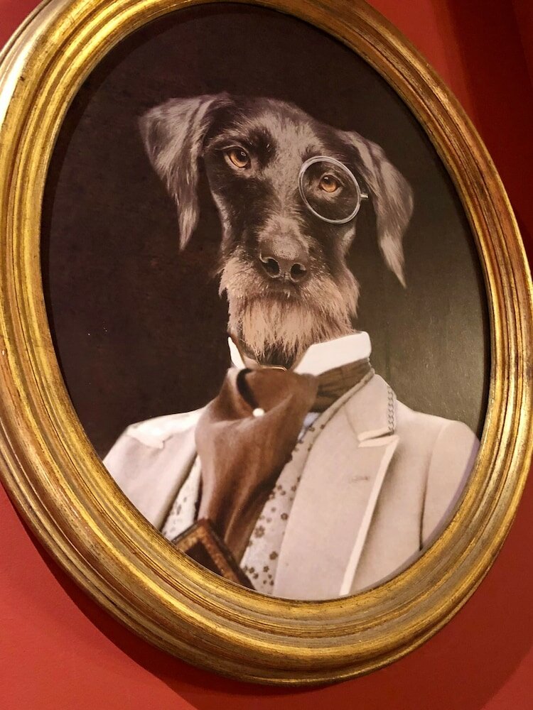 Фото Saint Louis