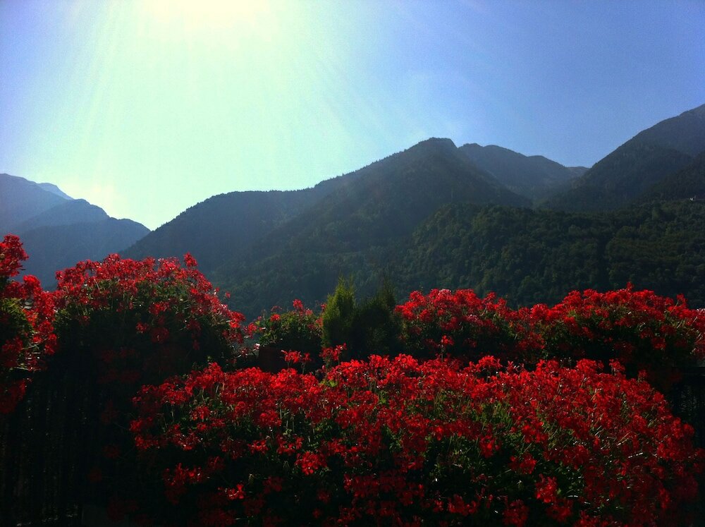 Фото Hotel Pyrénées