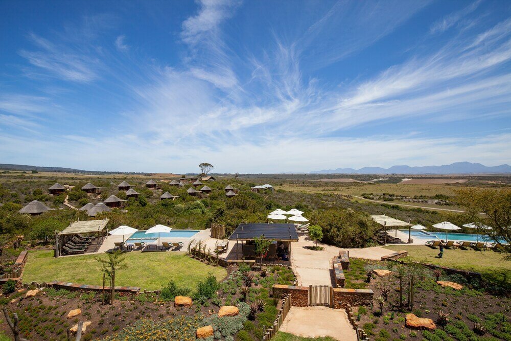 Фото Garden Route Game Lodge