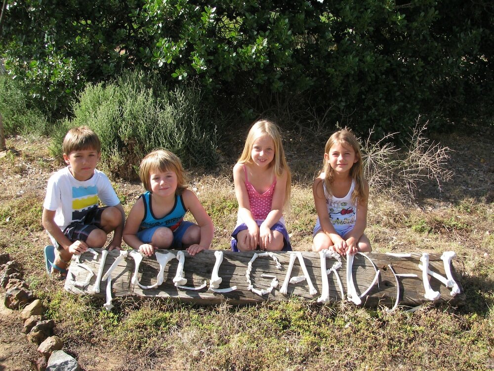 Фото Garden Route Game Lodge