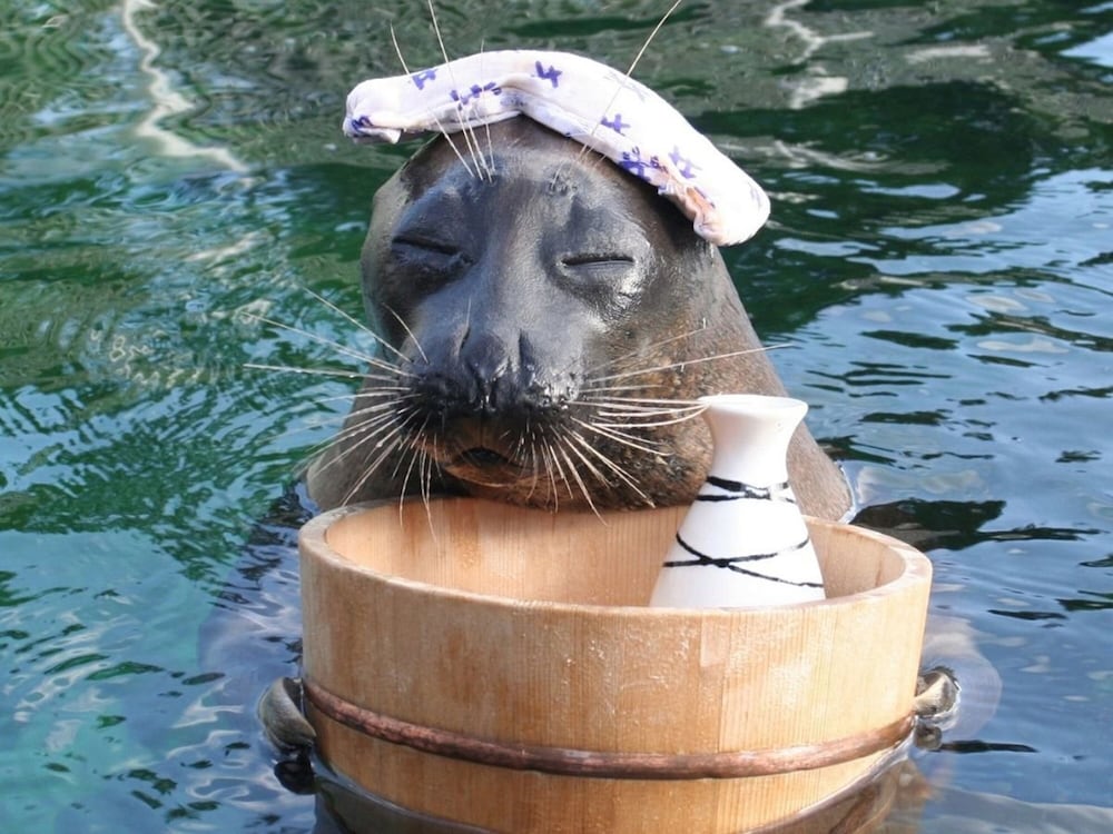 Фото Hakone Yunohana Prince Hotel