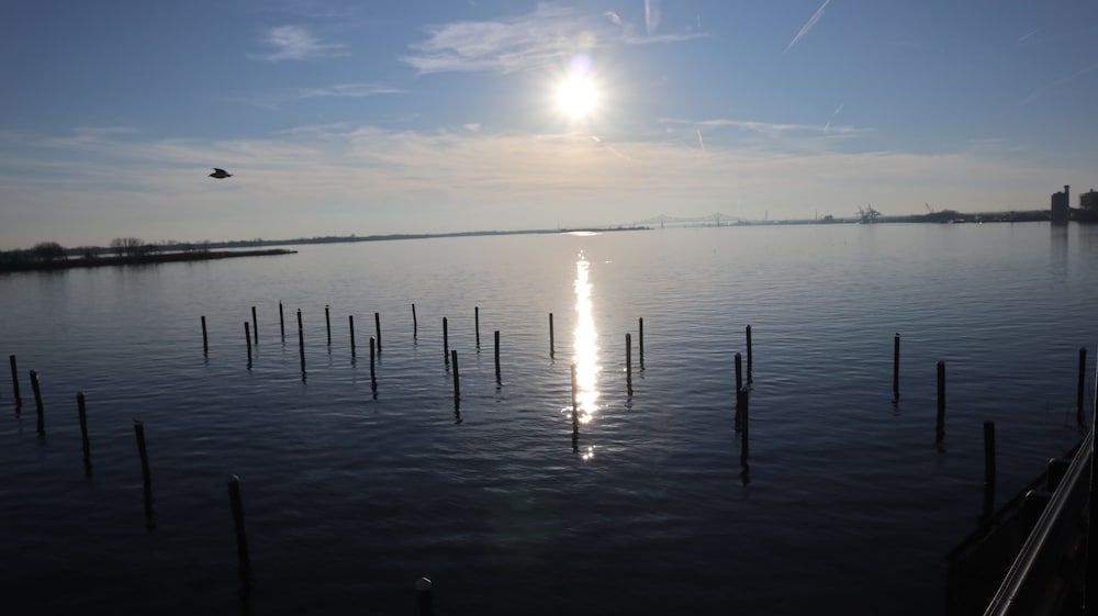 Фото Airport Waterfront Inn